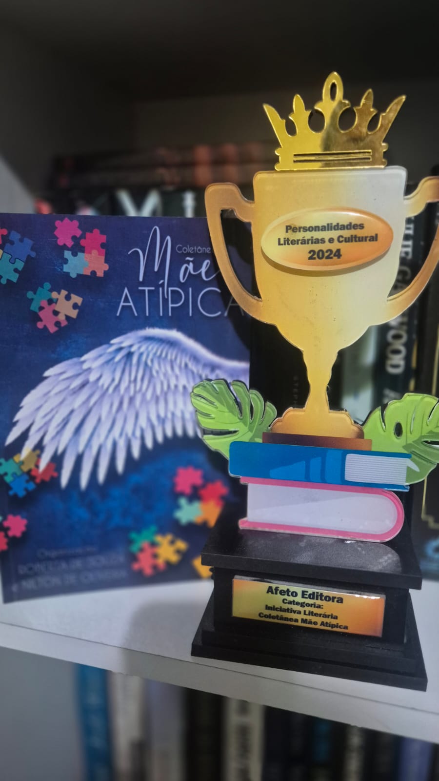 Registro de premiação relacionada ao projeto Mães Atípicas